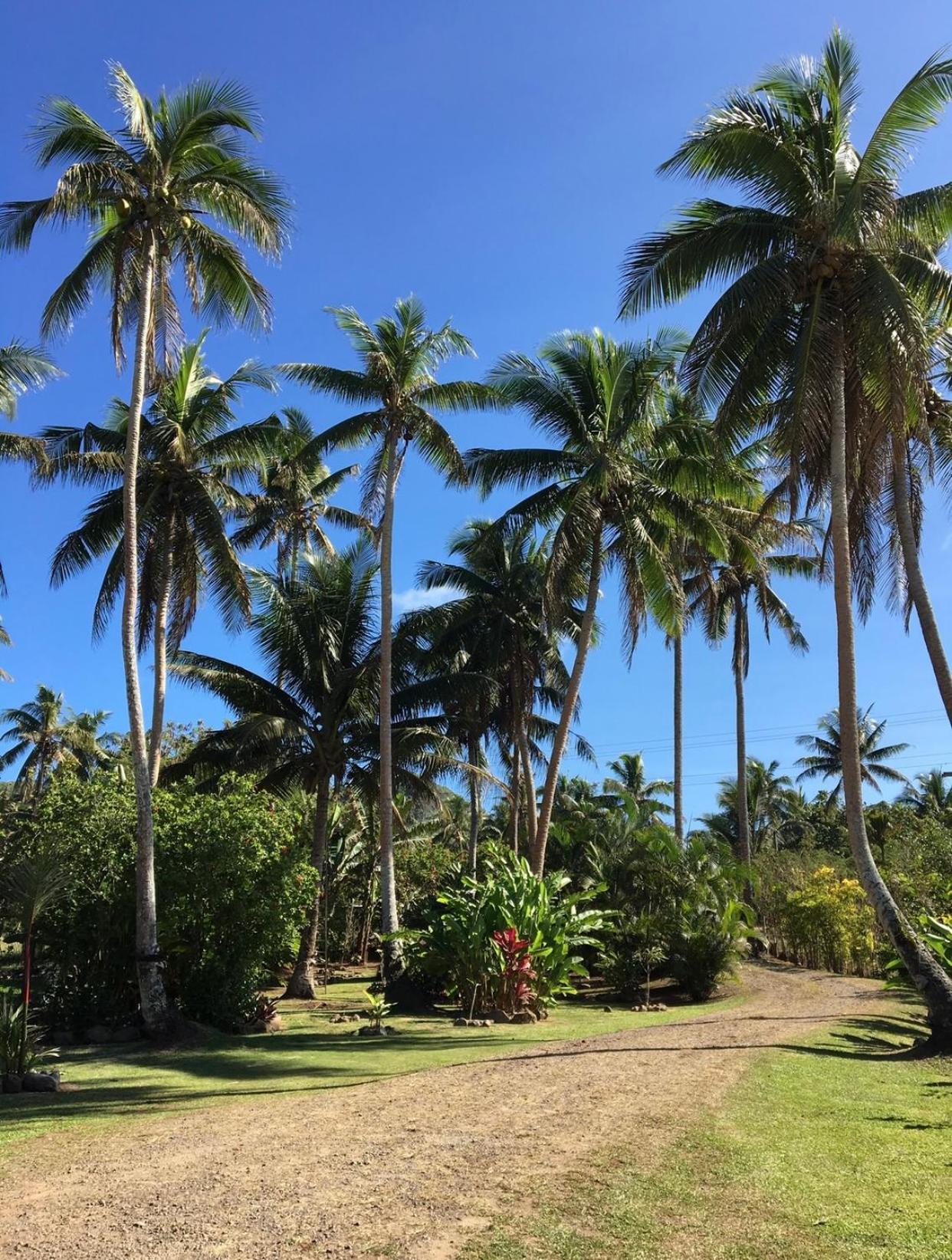 사부사부 Island Breeze Fiji 빌라 객실 사진